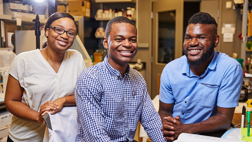 Summer interns who worked on the Human Atlas of Malformation