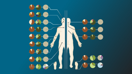 The skin microbiome: More than skin deep