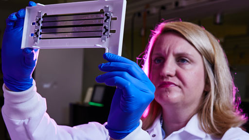 Scientist looking at sample in a lab