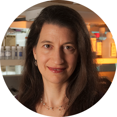 Julie Segre, Ph.D.
