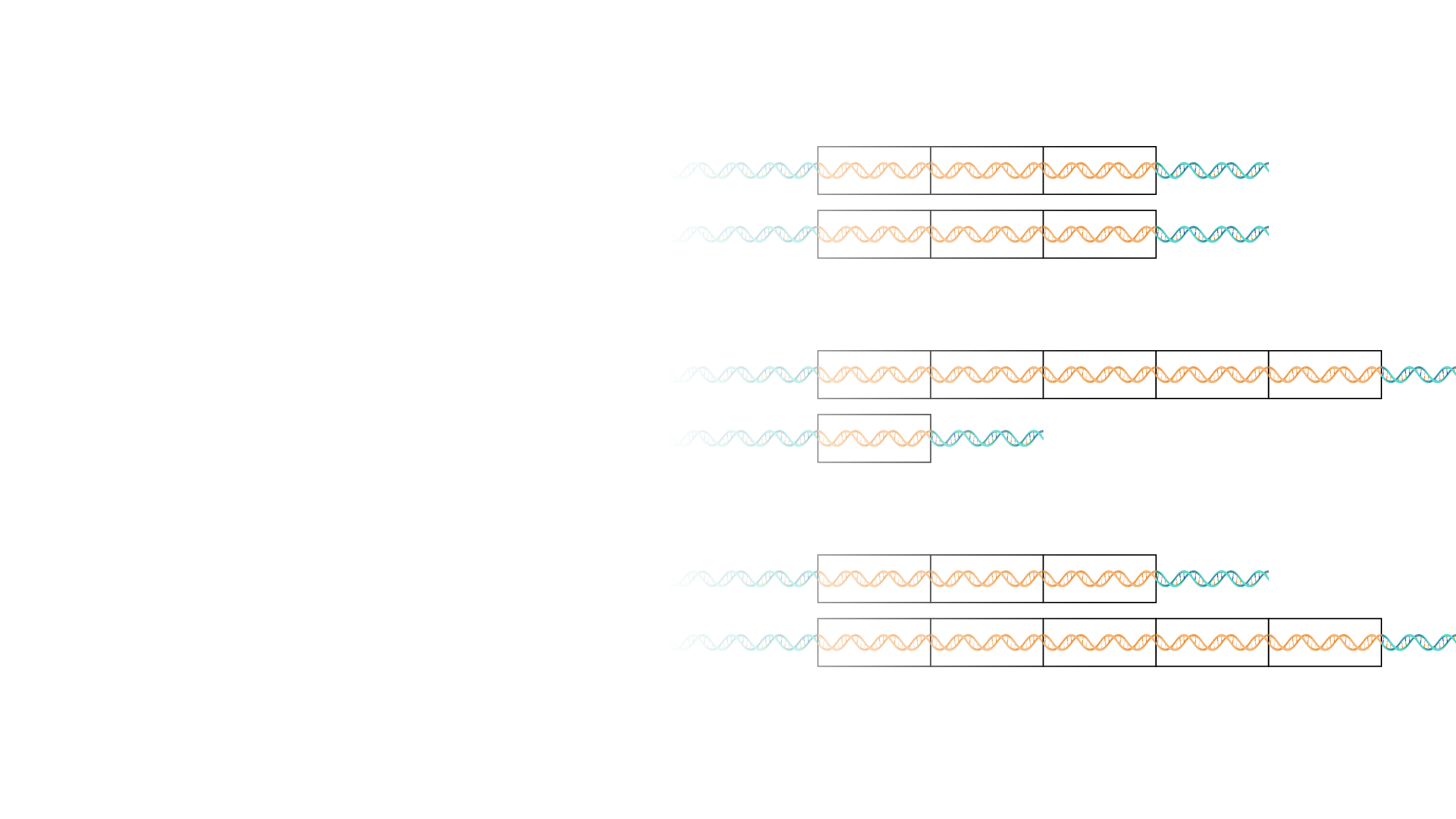 Copy-number-variation_hero