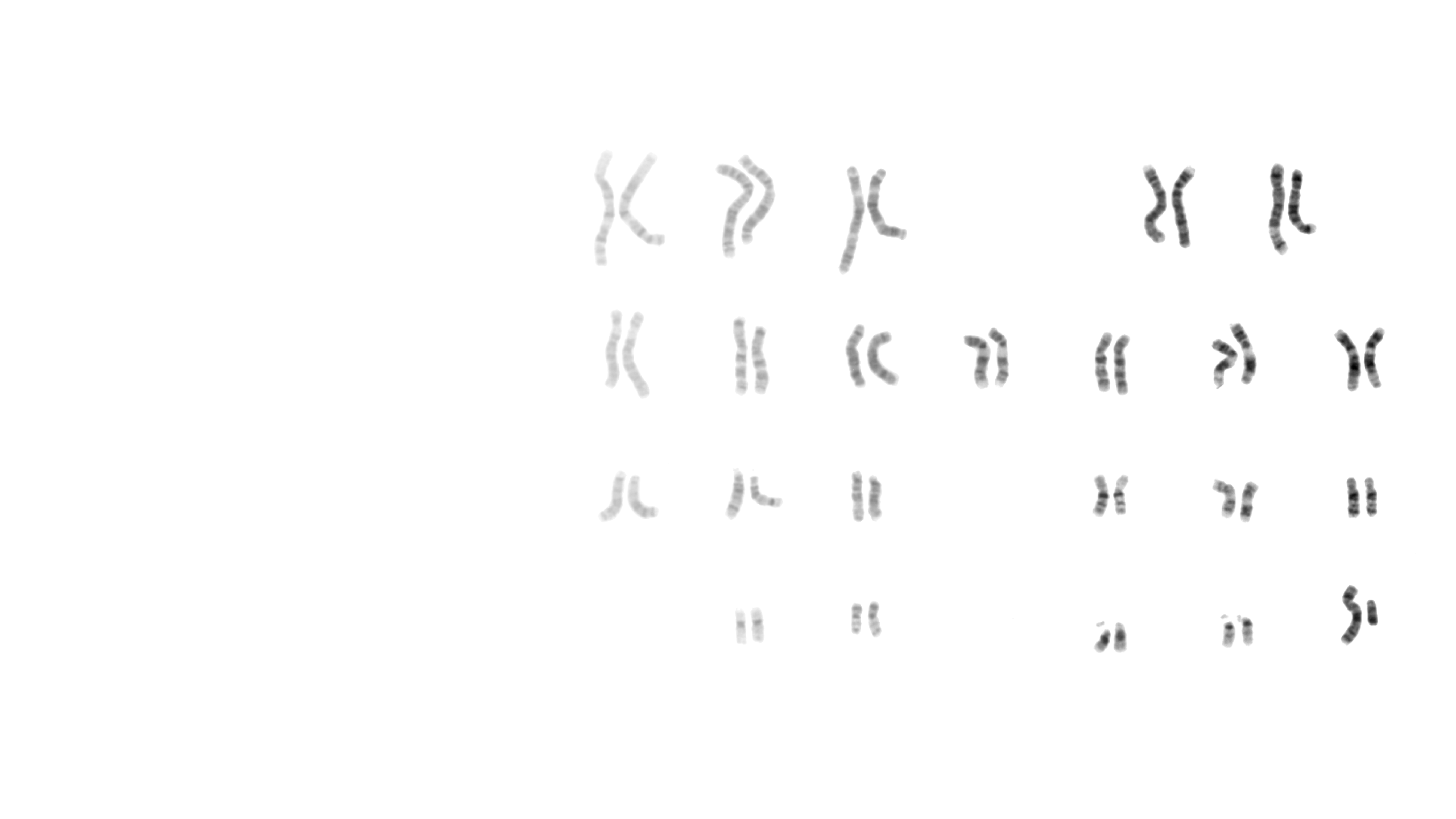 Cytogenetics_hero