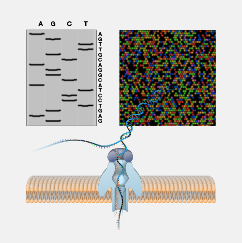 DNA-Sequencing_dyn