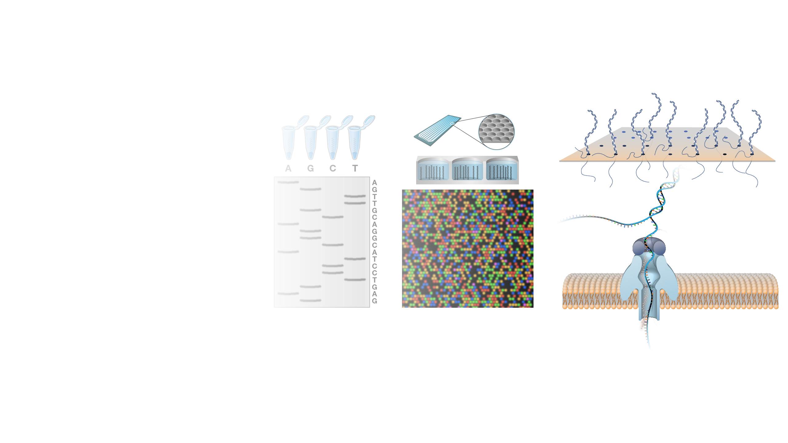 DNA-Sequencing_hero