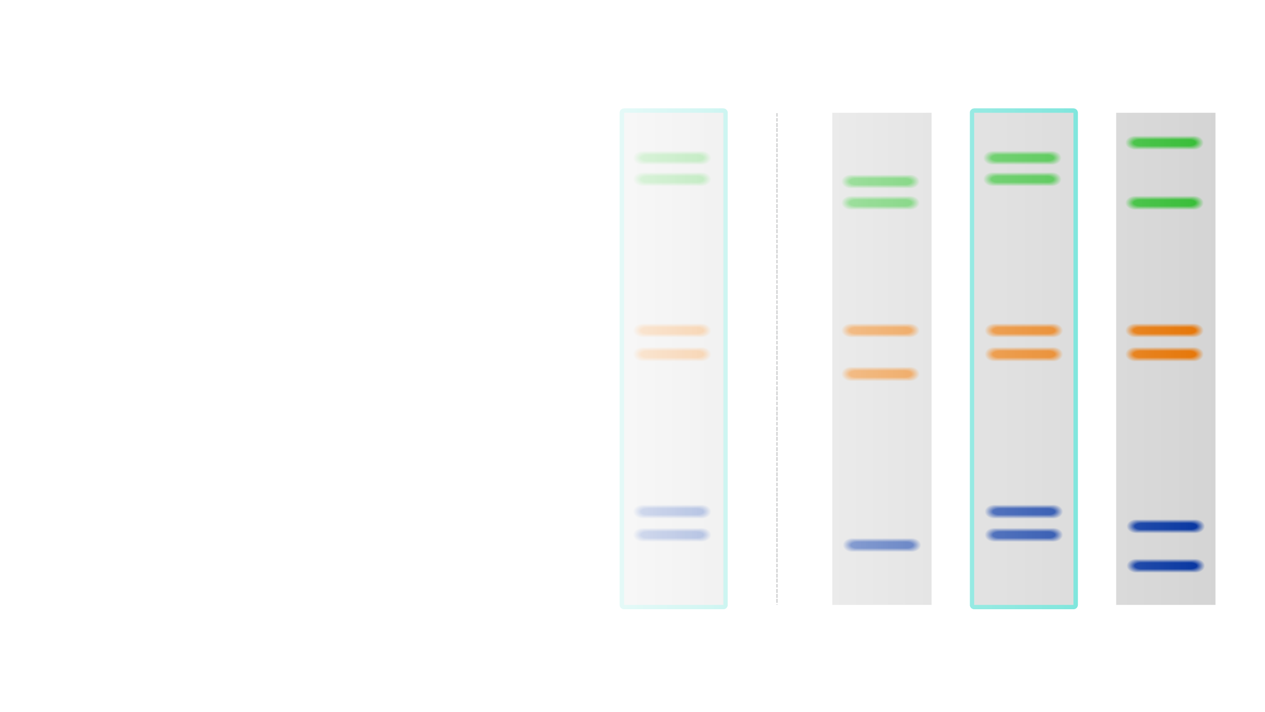 Dna Fingerprinting  