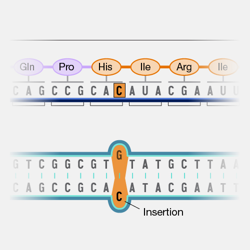 what are mutations?