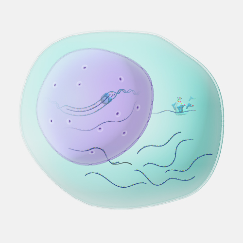 Gene-expression_dyn
