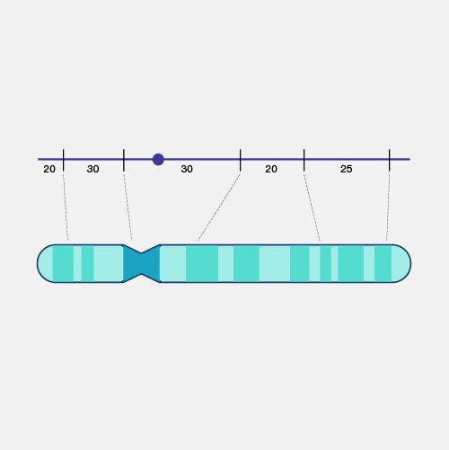 Genetic-map_dyn