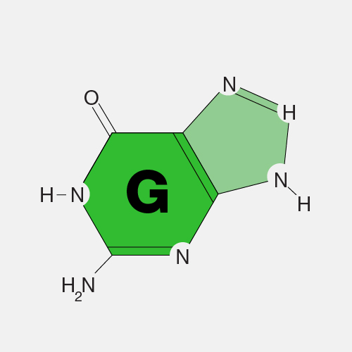 Guanine_dyn