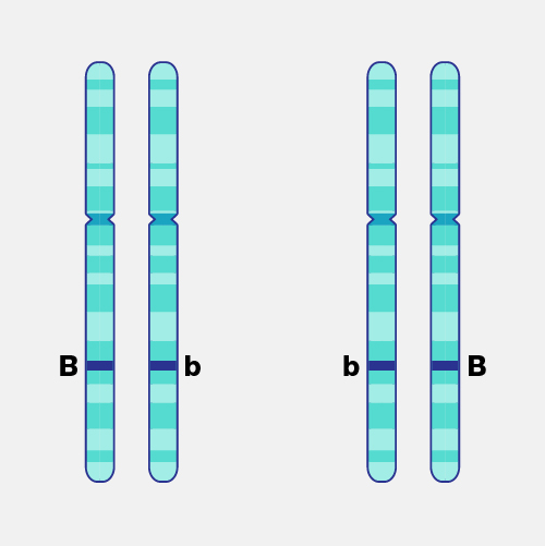 Heterozygous_dyn