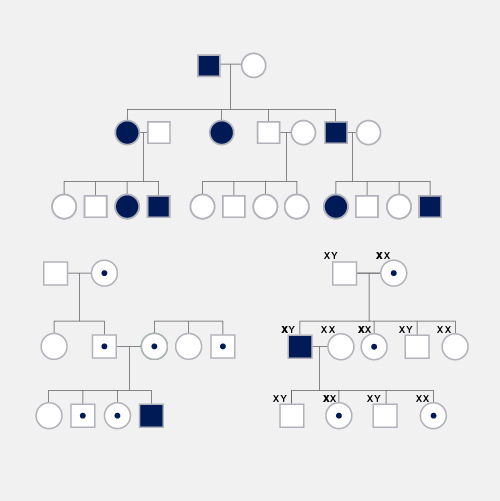 Autosomal Dominant