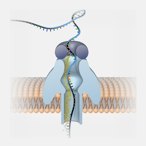 Nanopore-sequencing_dyn