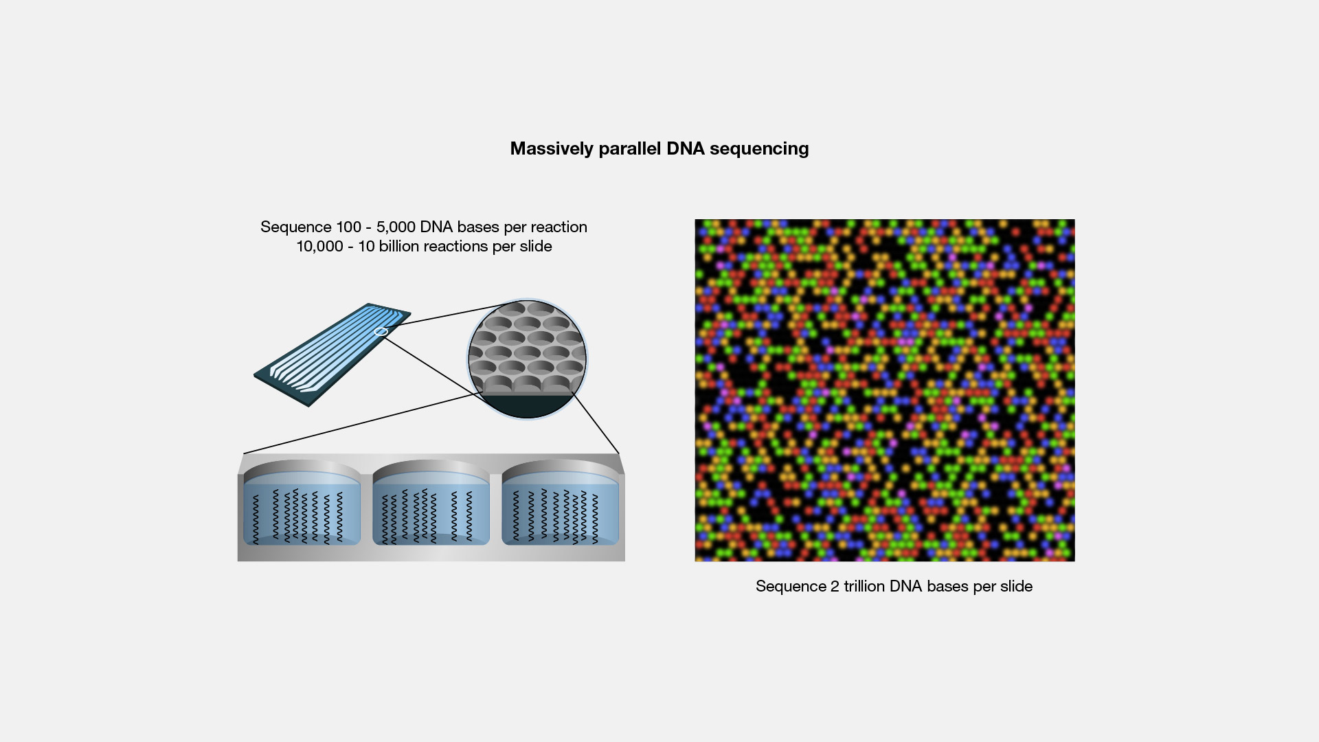 Next-generation-DNA-sequencing