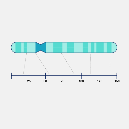 Linkage Mapping in Genetics