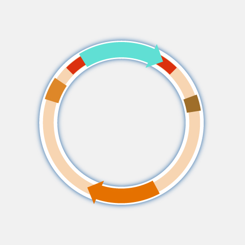 Plasmid_dyn