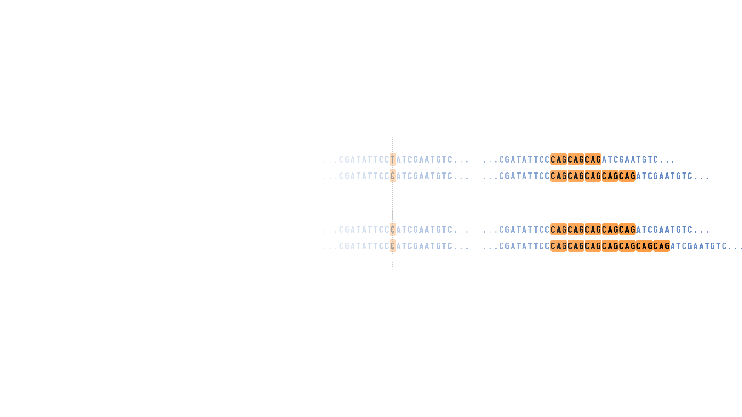 Polymorphism_hero