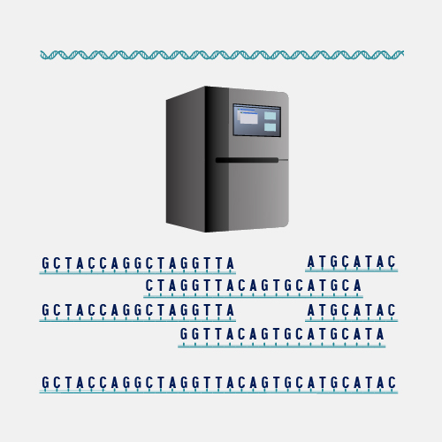 Shotgun Sequencing