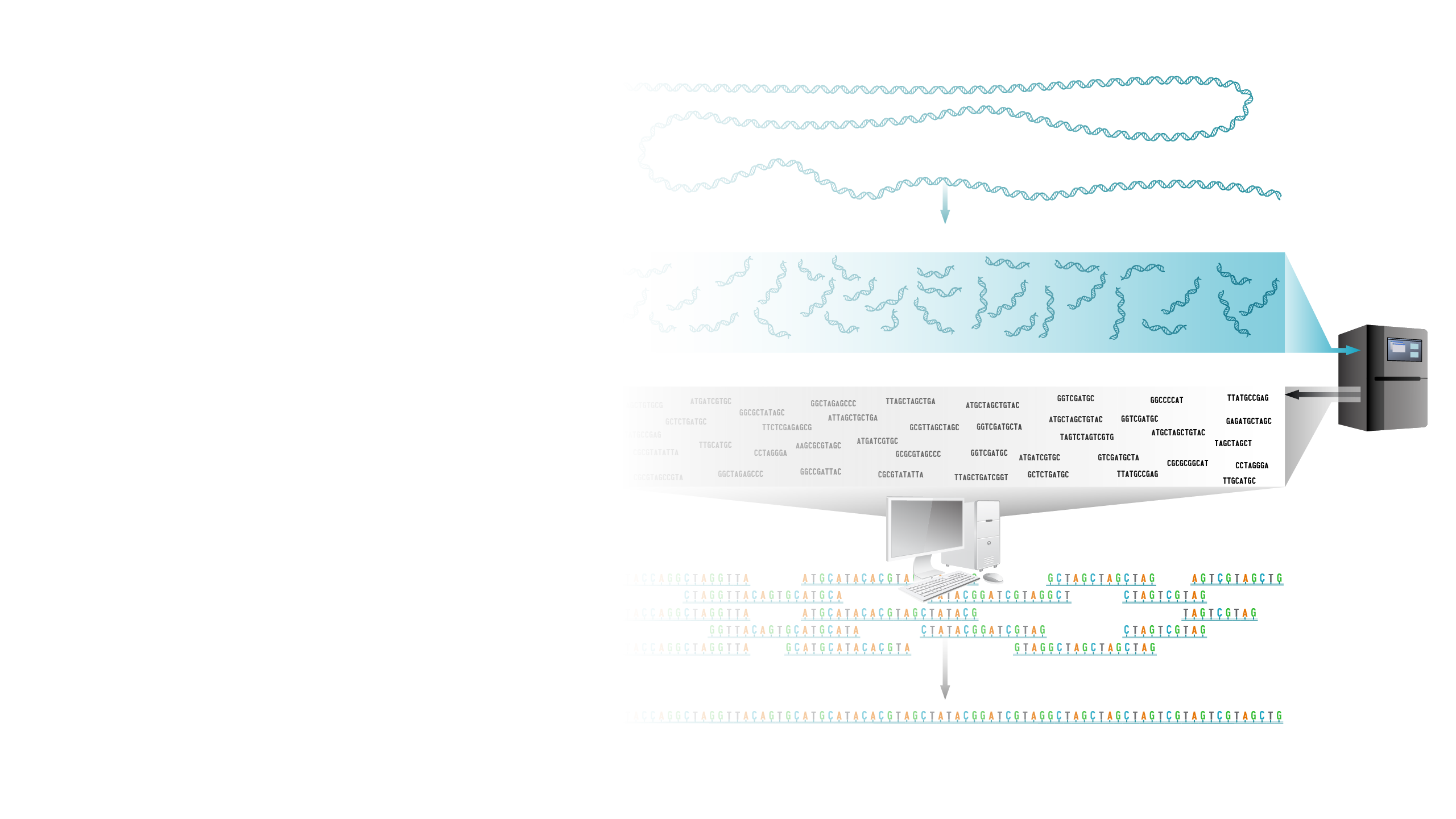 Shotgun-sequencing_hero