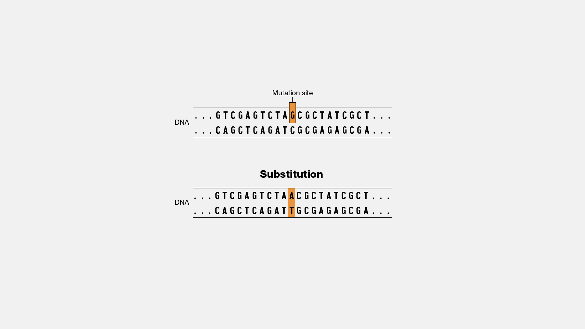  Subsitution