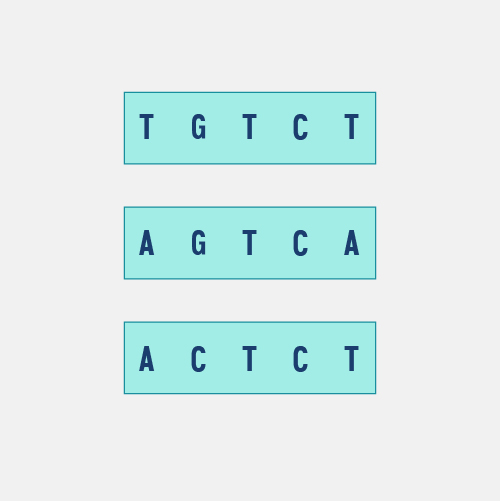 haplotype_dyn