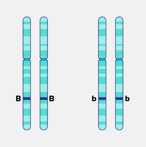 Homozygous - National Human Genome Research Institute
