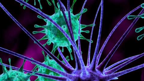 Immunology