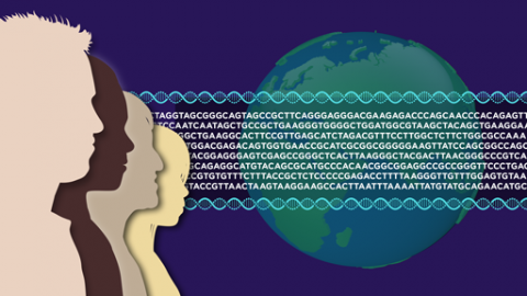 Human Genome Reference