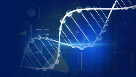 Double helix