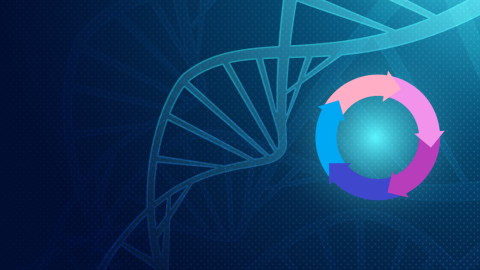 Double helix and circular arrows