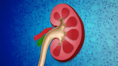 Kidney disease