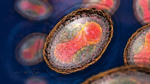 Virus Immunity