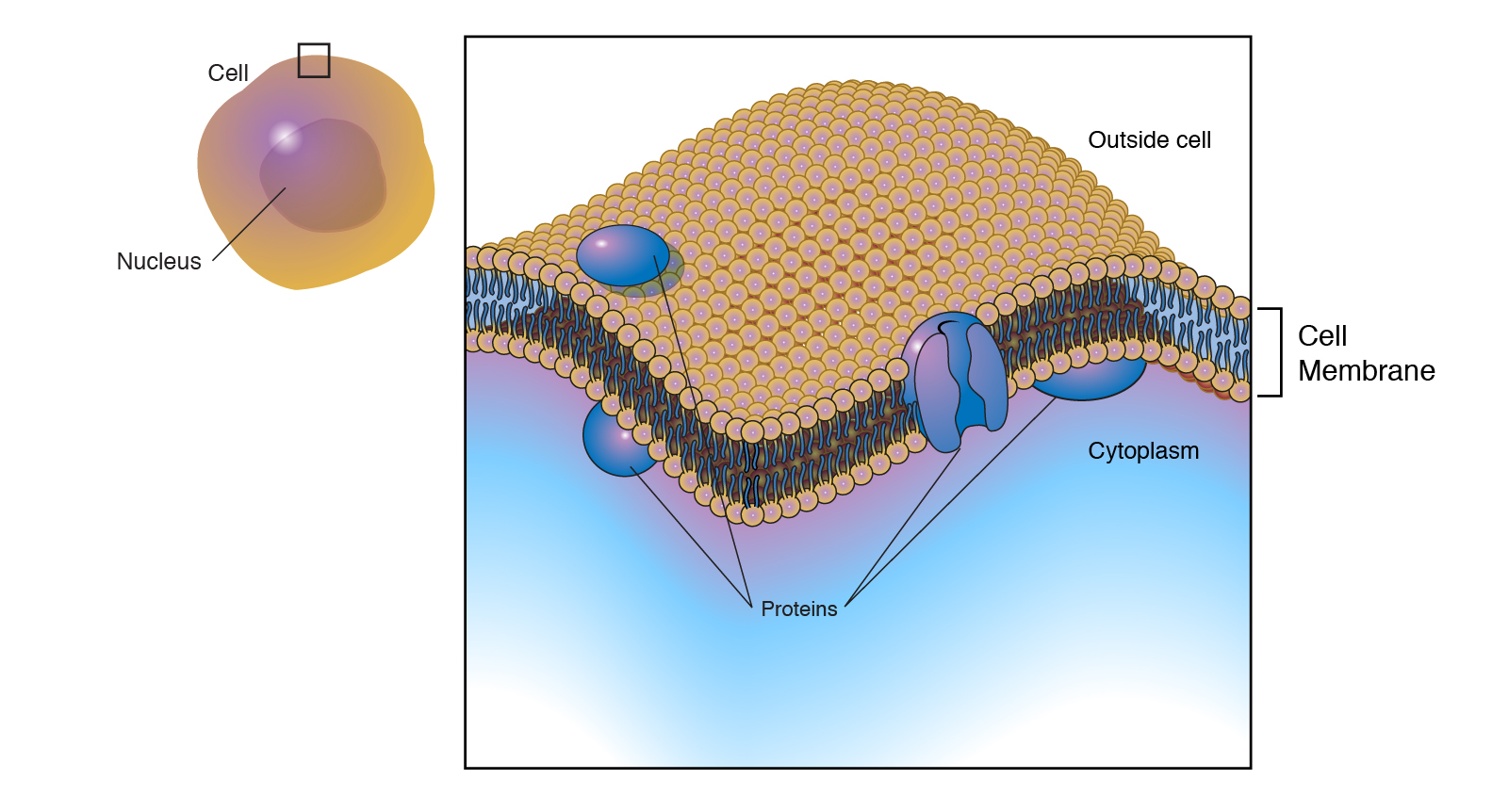 What is a plasma? 