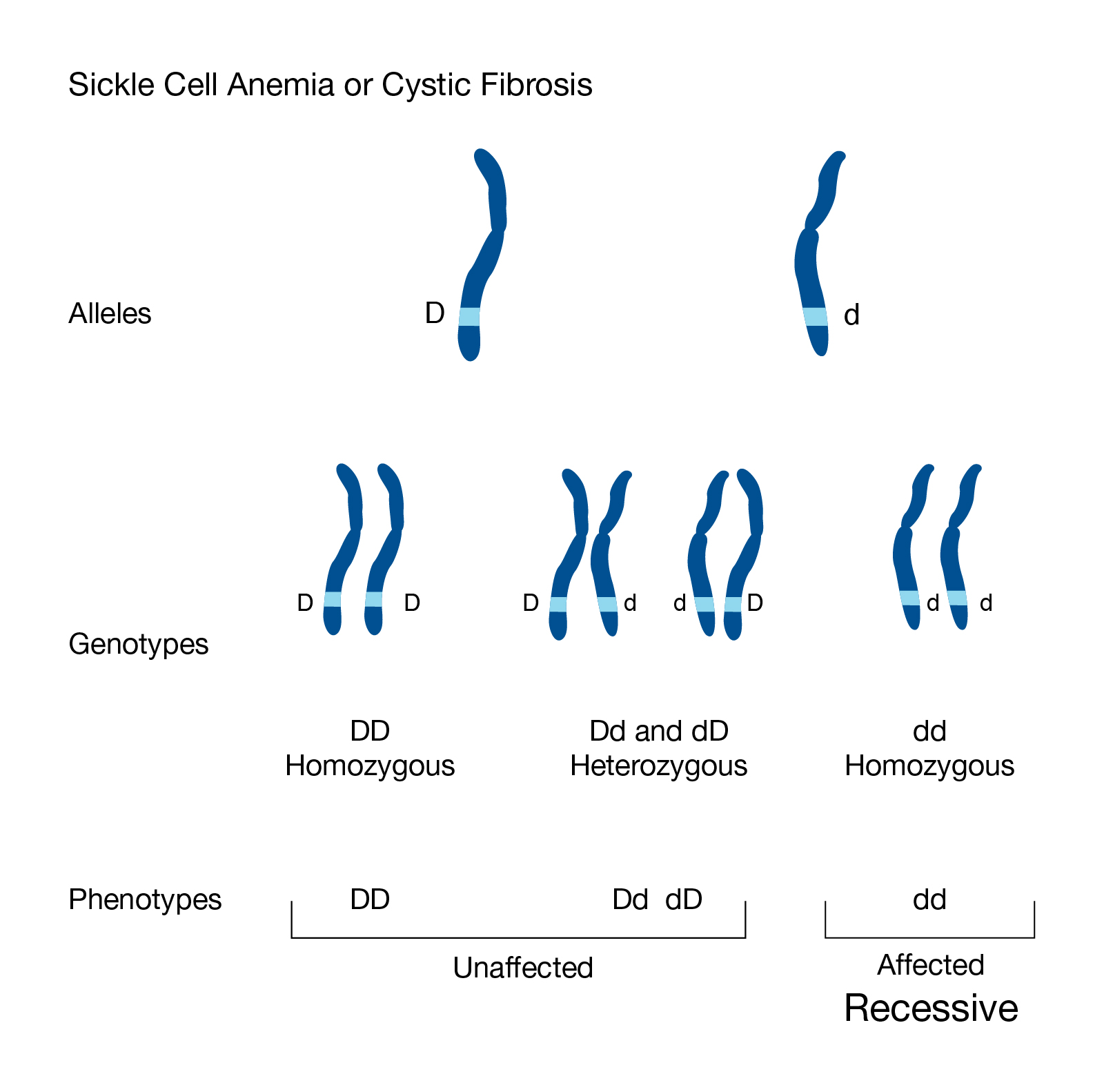 Recessive