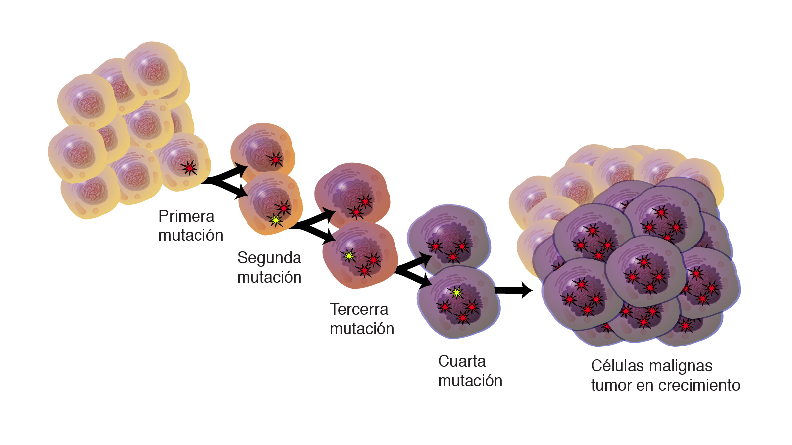 Cáncer