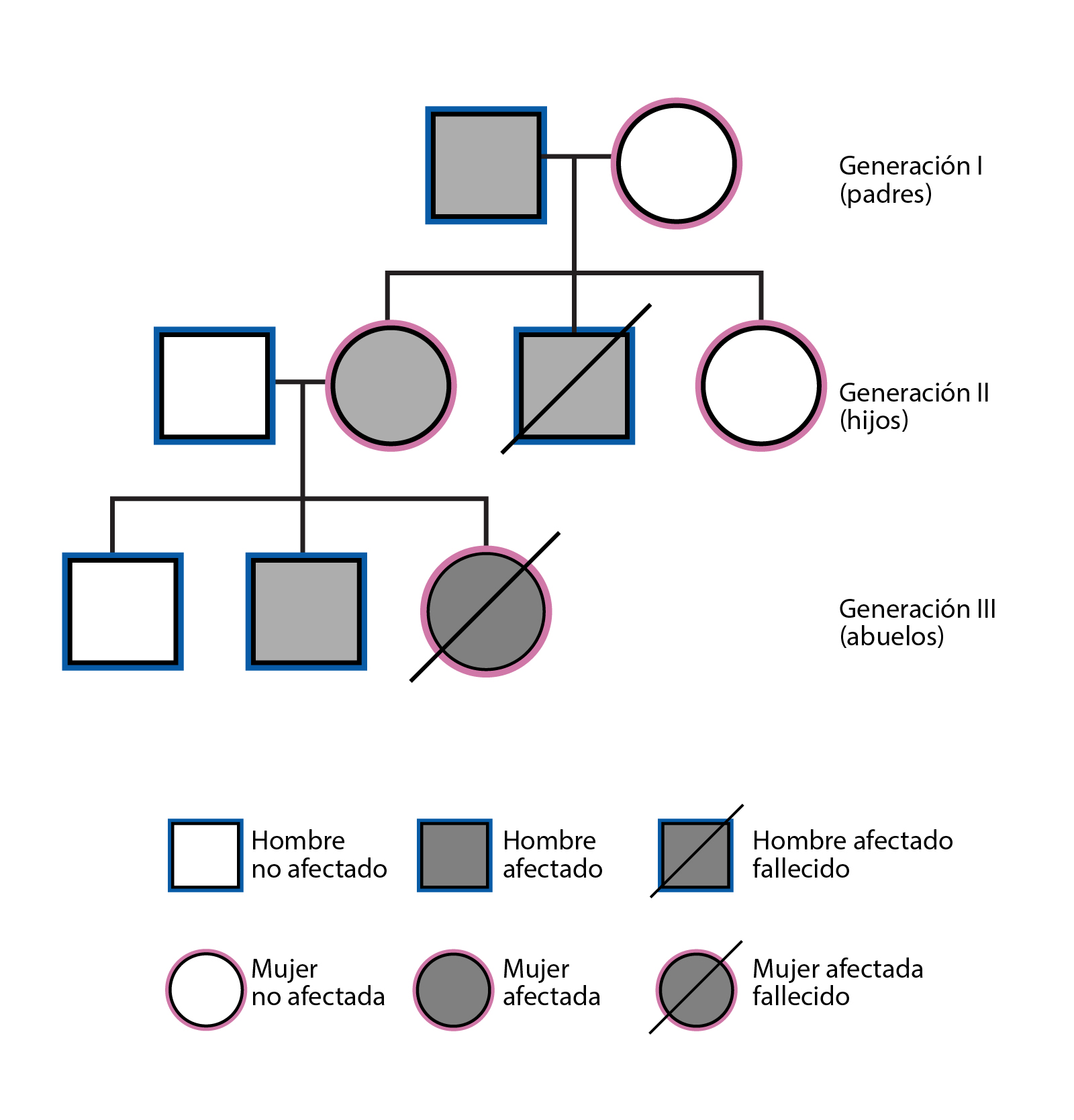 Granjero Tan rápido como un flash Grifo Árbol genealógico