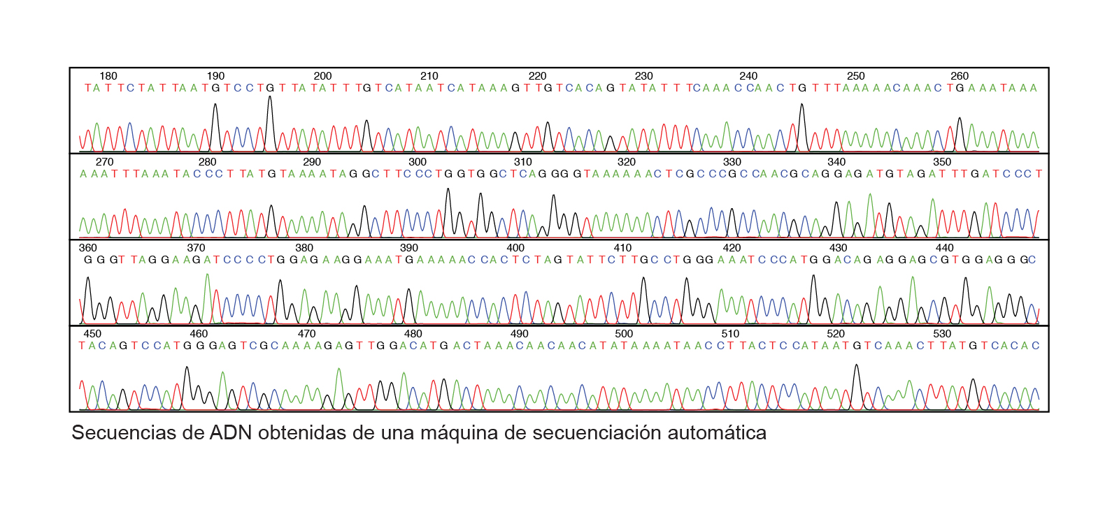  ___Secuenciacio__n_del_ADN